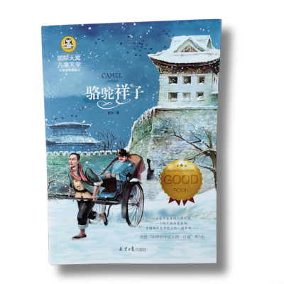 Książka - Rikszarz